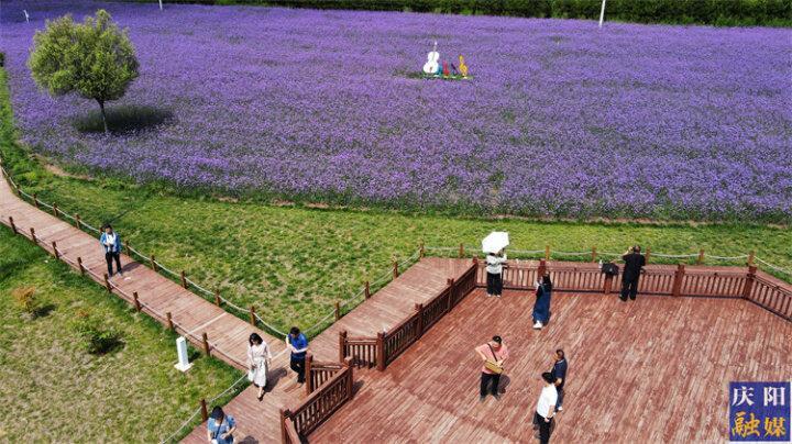 【攝影報道】花溪谷景區(qū)目前客流量已達5萬多人  旅游綜合收入達130多萬元