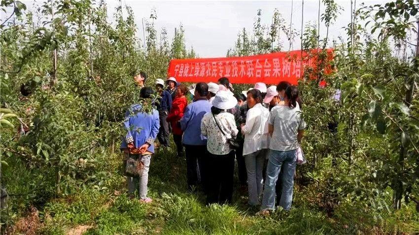 科普之花遍地開 引領群眾同致富——寧縣隴上綠源農(nóng)民專業(yè)技術聯(lián)合會充分發(fā)揮科技助農(nóng)作用