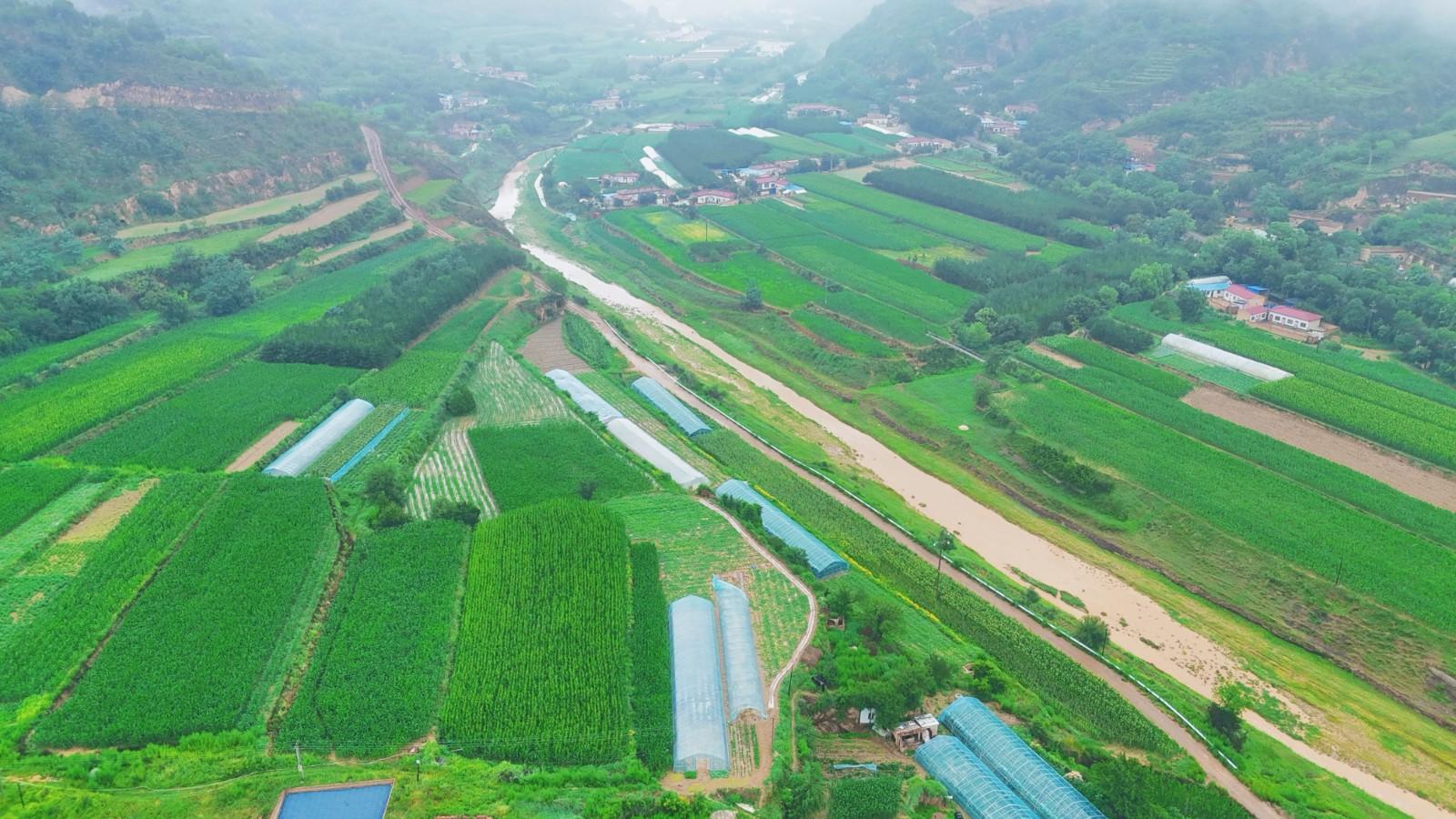 華池縣悅樂鎮(zhèn)：黨建引領村集體經濟一路繁花盛開