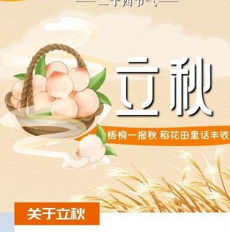 【二十四節(jié)氣·立秋】長(zhǎng)圖 | 一葉梧桐一報(bào)秋 稻花田里話豐收