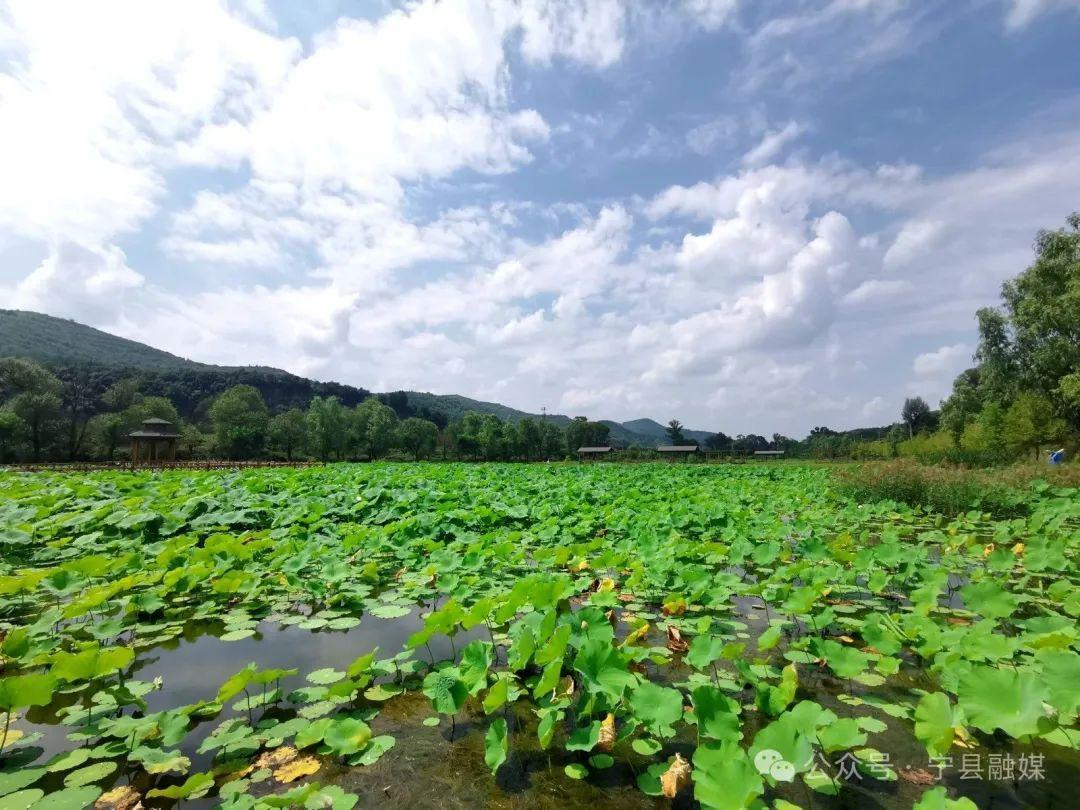 《慶陽新聞》2024年8月13日