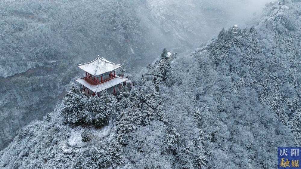 【視覺(jué)慶陽(yáng)】今冬初雪美 霜葉瓊花飛